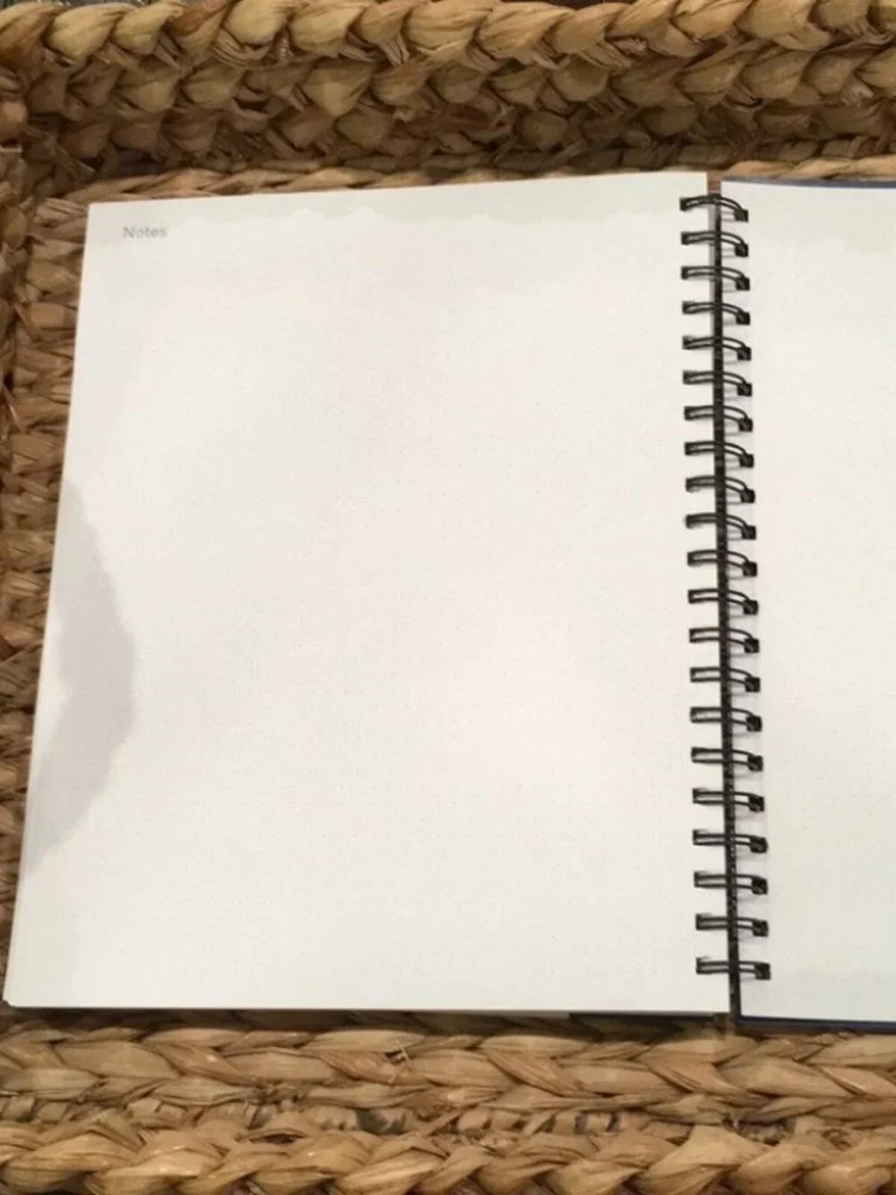 Power Place Personal Daily Planner‎ Non-Dated 6 Months 8.5x11 Blue
